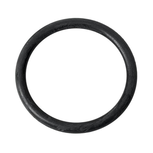 (image for) O-ring 22,0x2,5mm, 1610210184