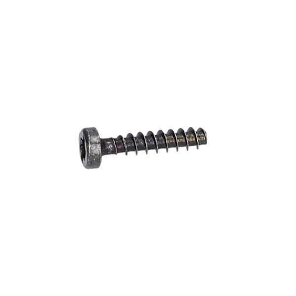 (image for) Șurub torx cu cap oval 4x20, 1619P00105